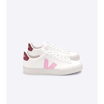 Veja CAMPO CHROMEFREE Low Tops Sneakers Férfi White/Pink | HU 293YXF